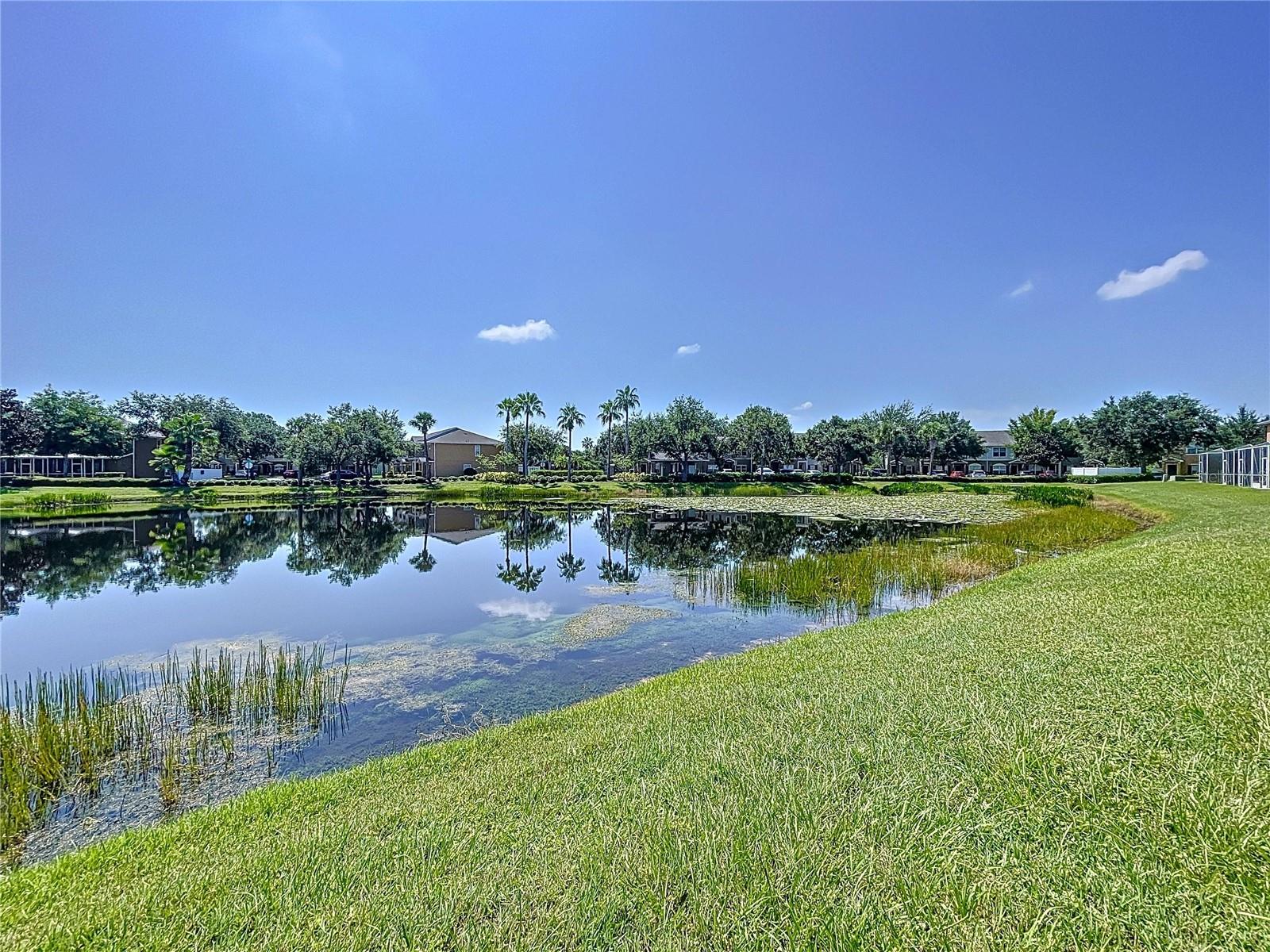 Image 49 of 61 For 12346 Foxmoor Peak Drive