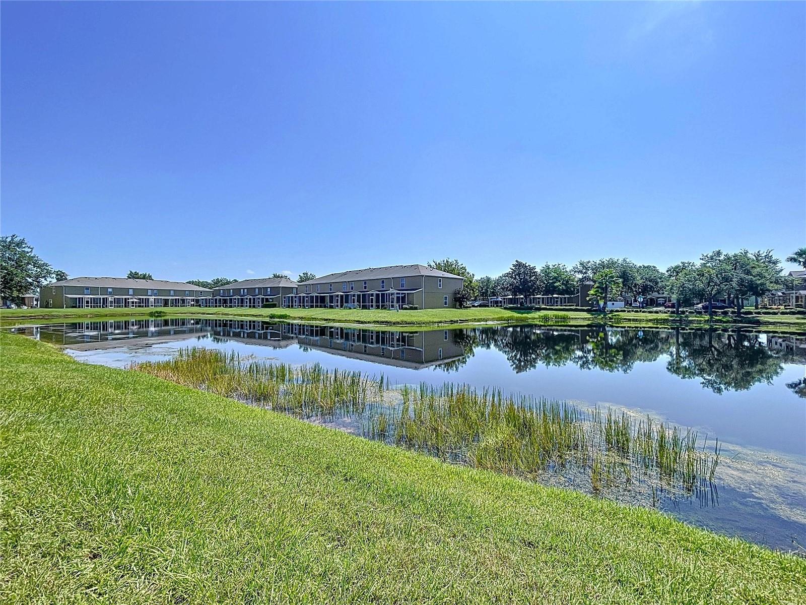 Image 50 of 61 For 12346 Foxmoor Peak Drive