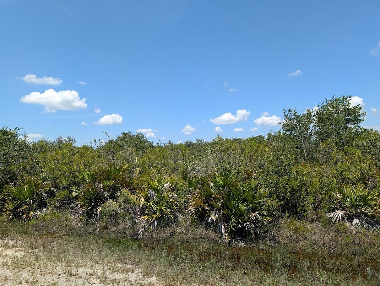 Image 3 of 33 For Sarasota Drive