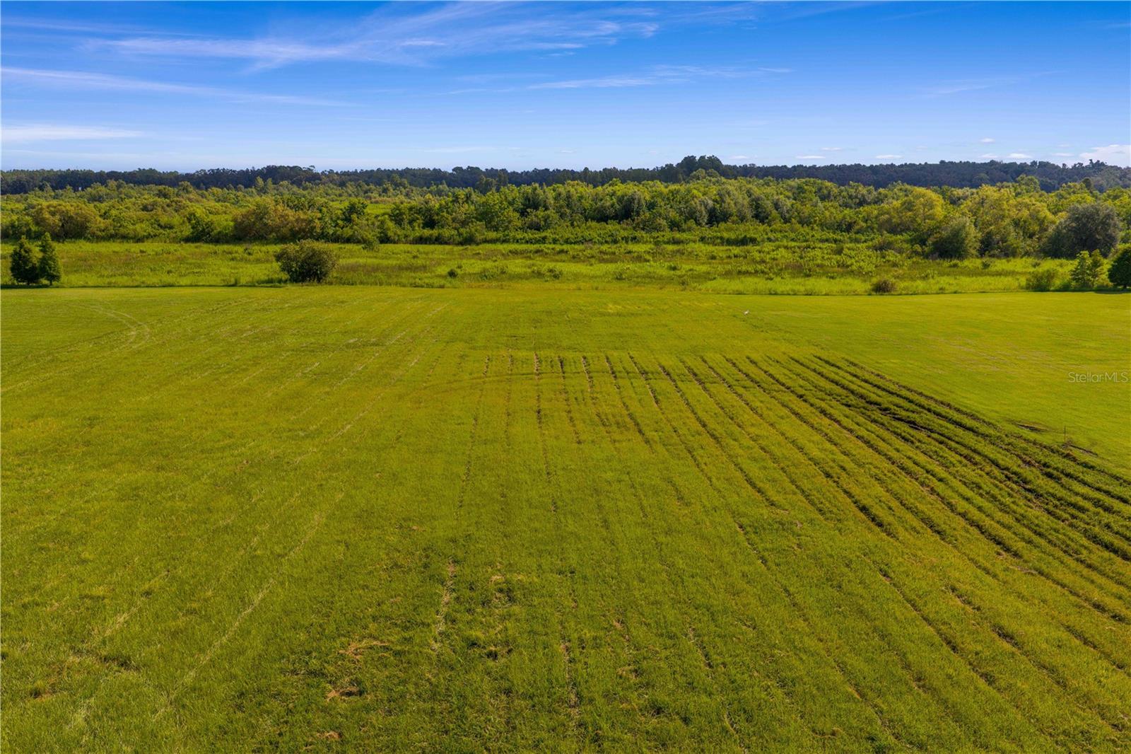 Image 8 of 31 For 12322 Stonelake Ranch Boulevard
