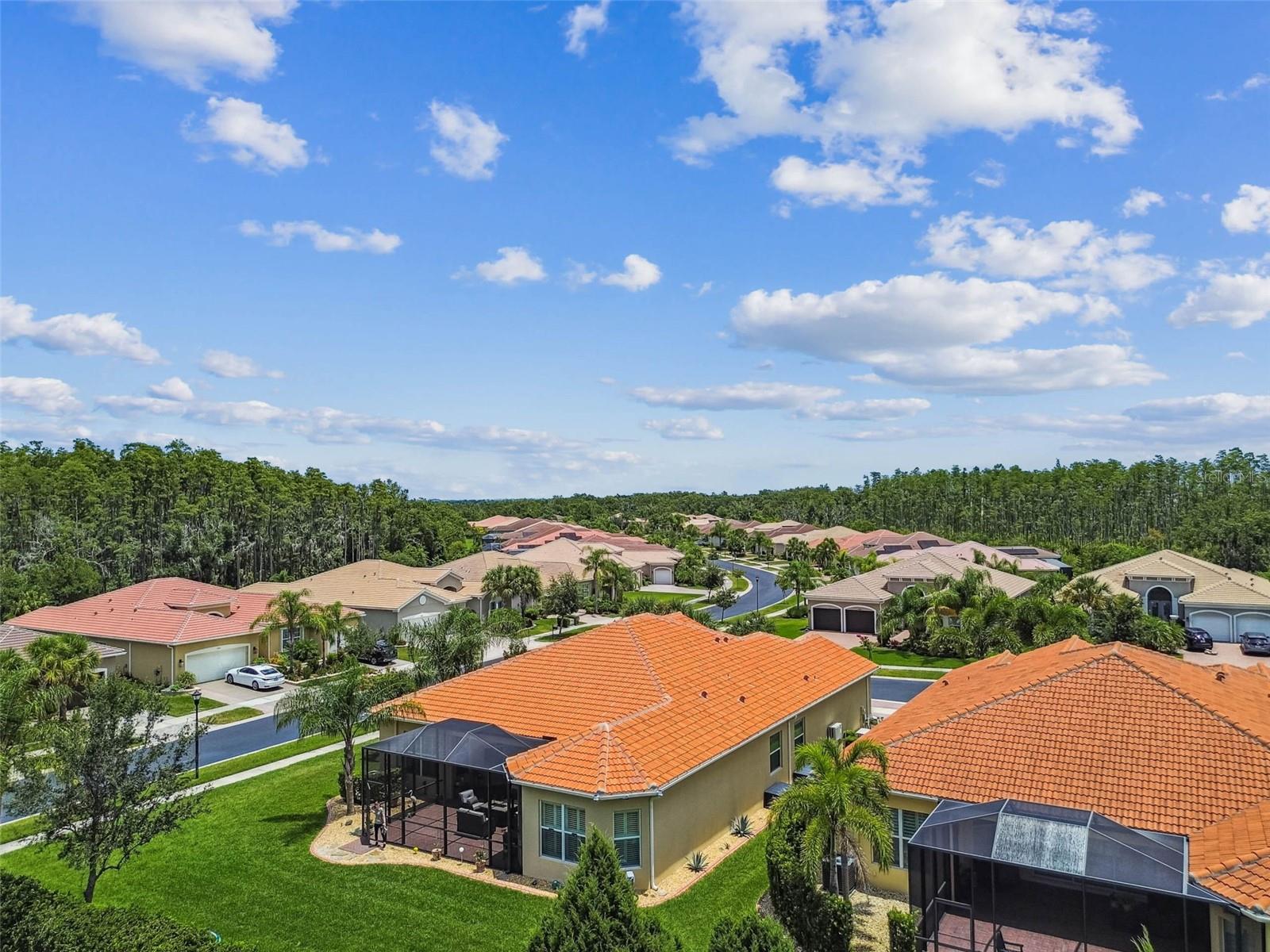 Image 38 of 53 For 16301 Garnet Glen Place