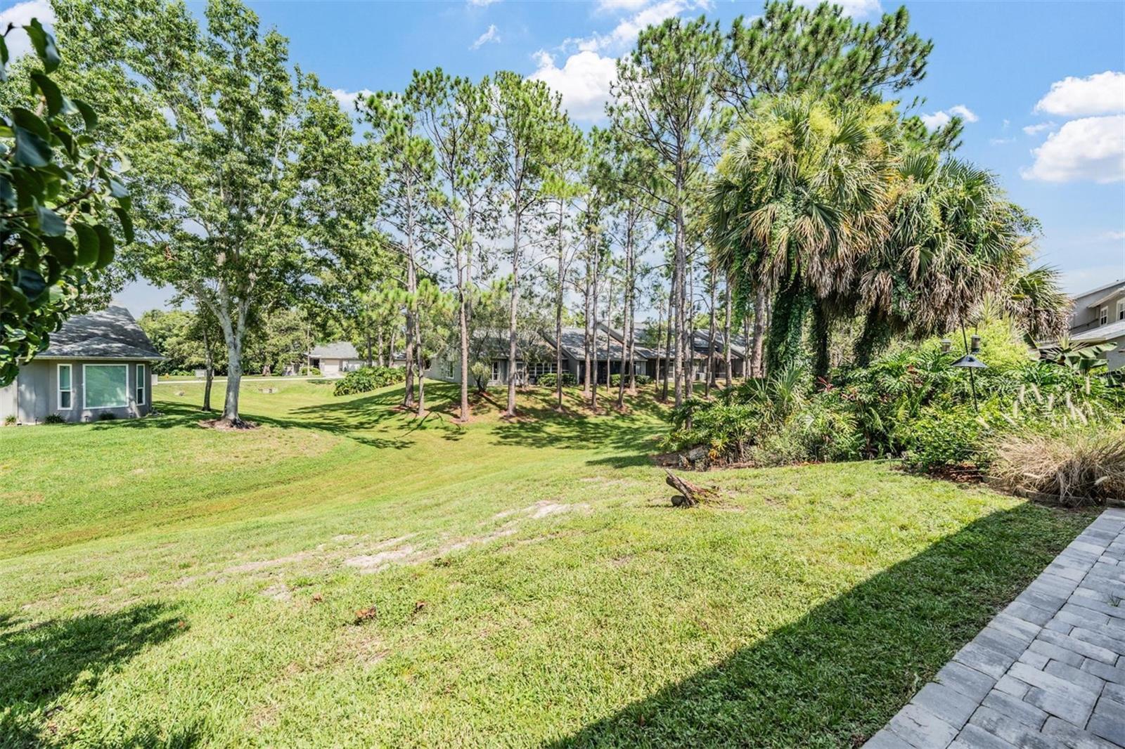 Image 37 of 42 For 141 Hunter Court