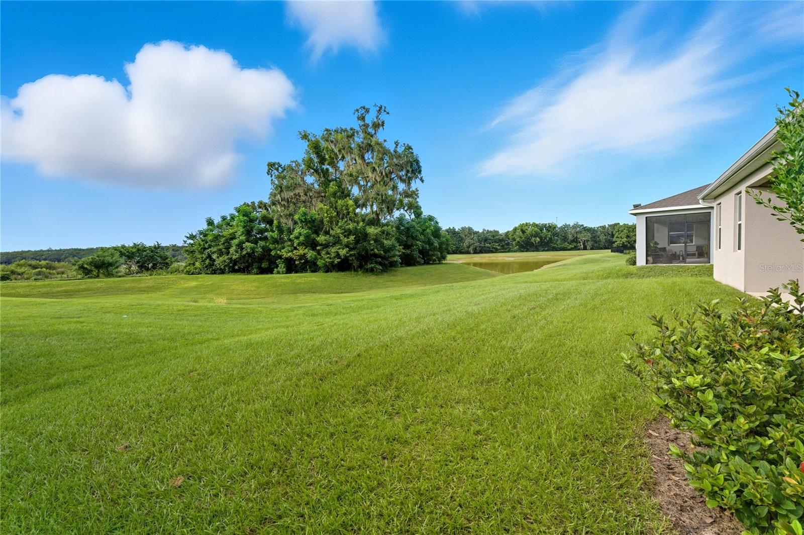 Image 37 of 46 For 13811 Whiskey Daisy Drive