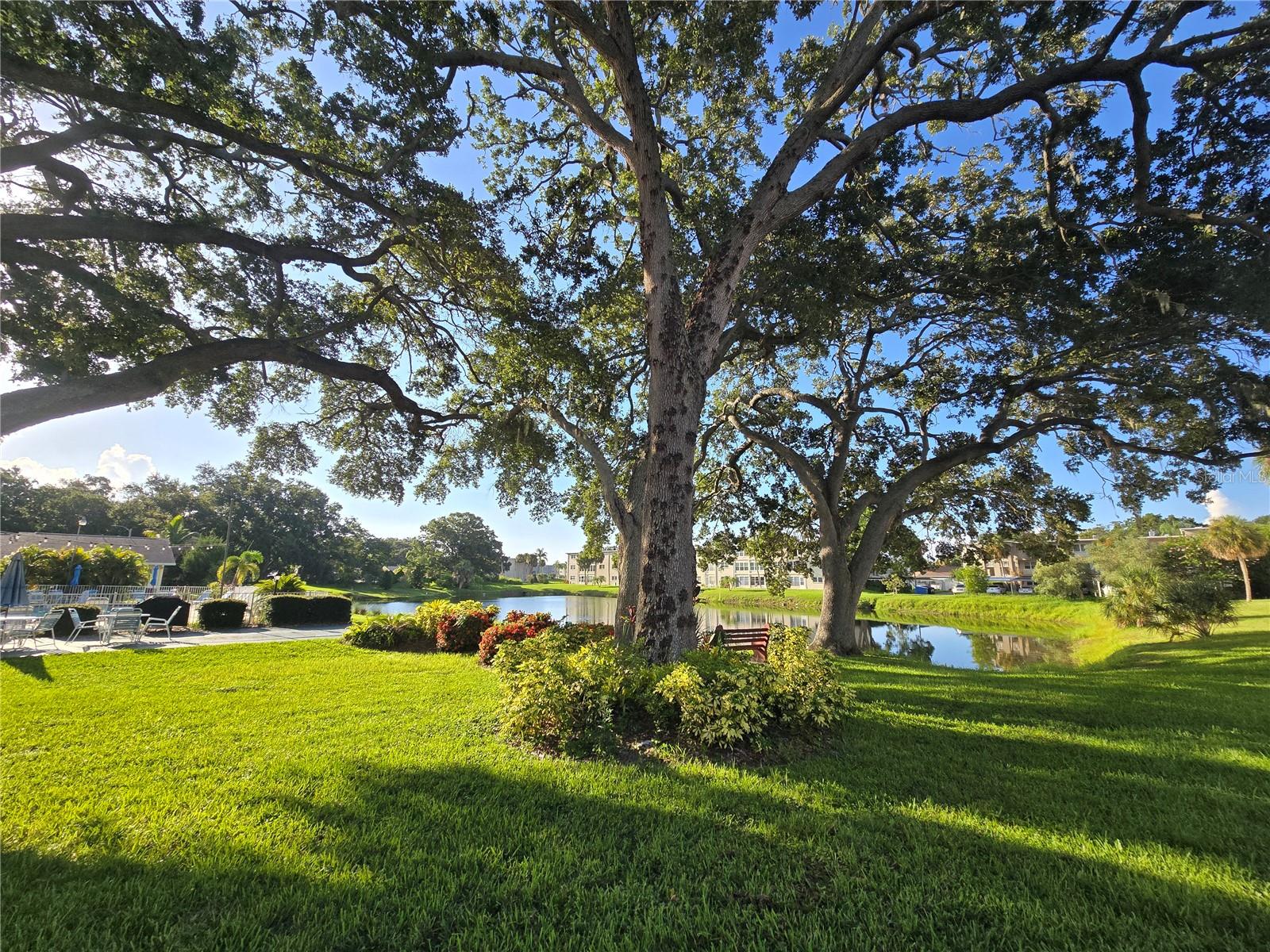 Image 23 of 34 For 857 De Soto Court