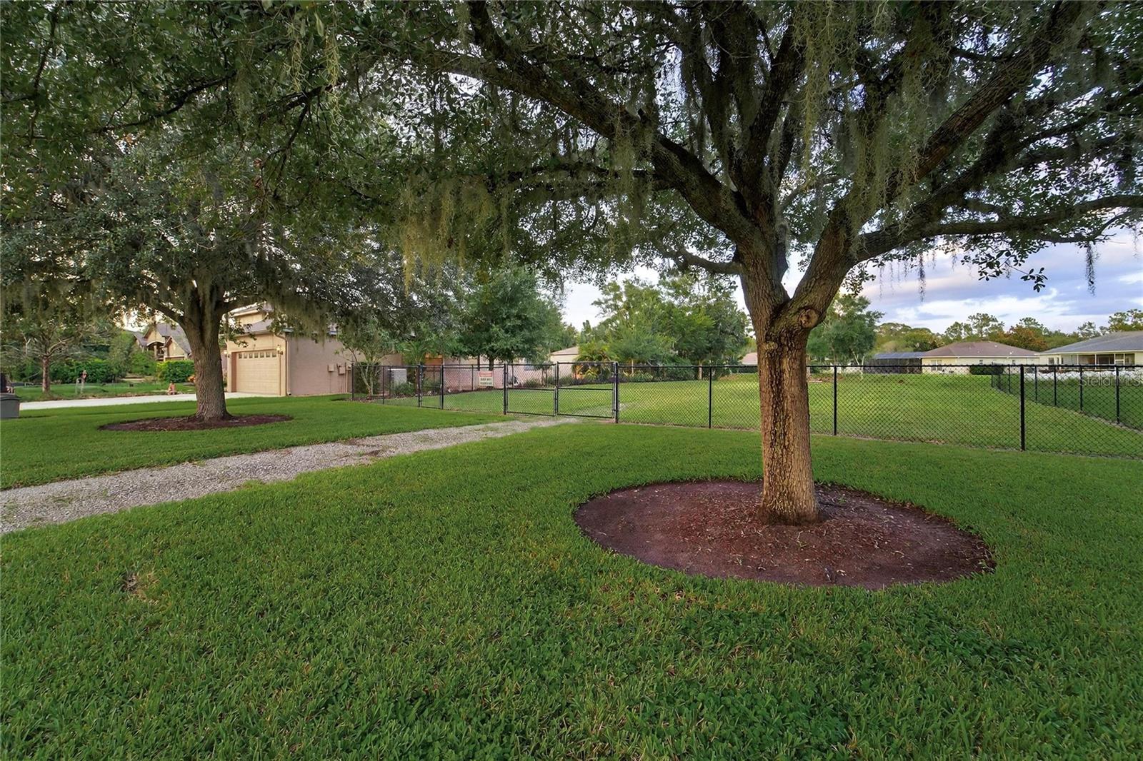Listing photo id 48 for 6428 Barcellona Road
