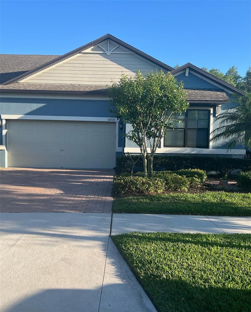 Details for 16830 Balance Cove, LAND O LAKES, FL 34638