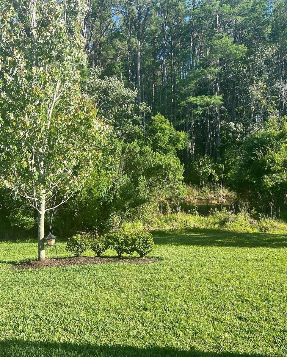 Image 24 of 40 For 16830 Balance Cove