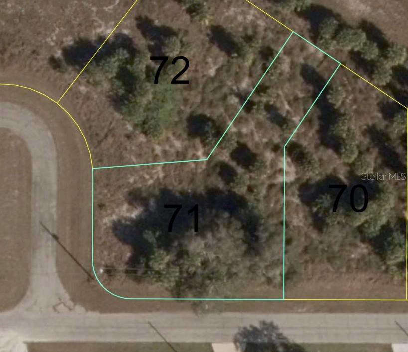 Details for  Argosy Road , LABELLE, FL 33935
