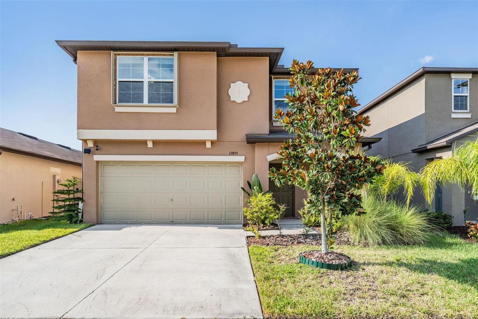 Details for 17893 Cloudless Bliss Drive, LUTZ, FL 33558