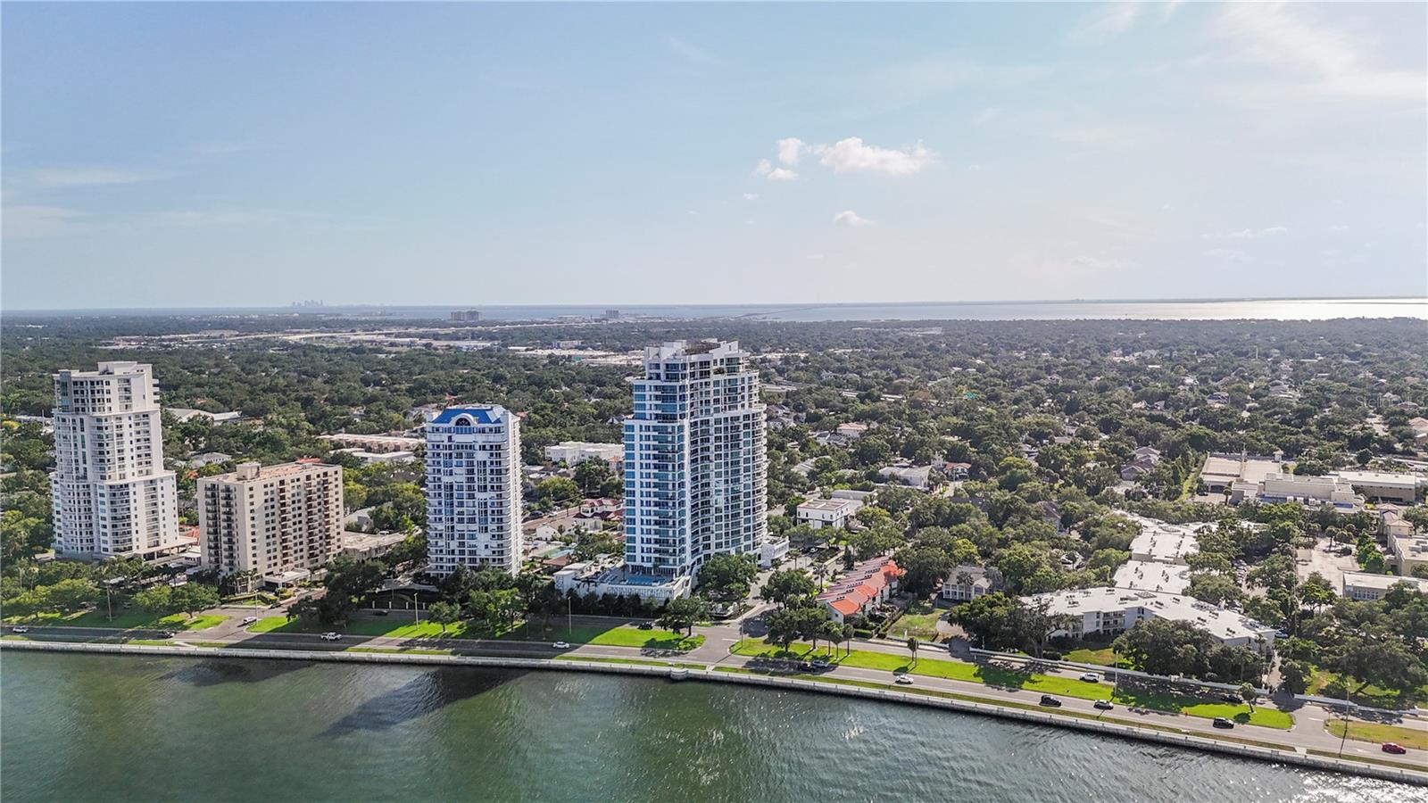 Image 93 of 99 For 3401 Bayshore Boulevard 2500