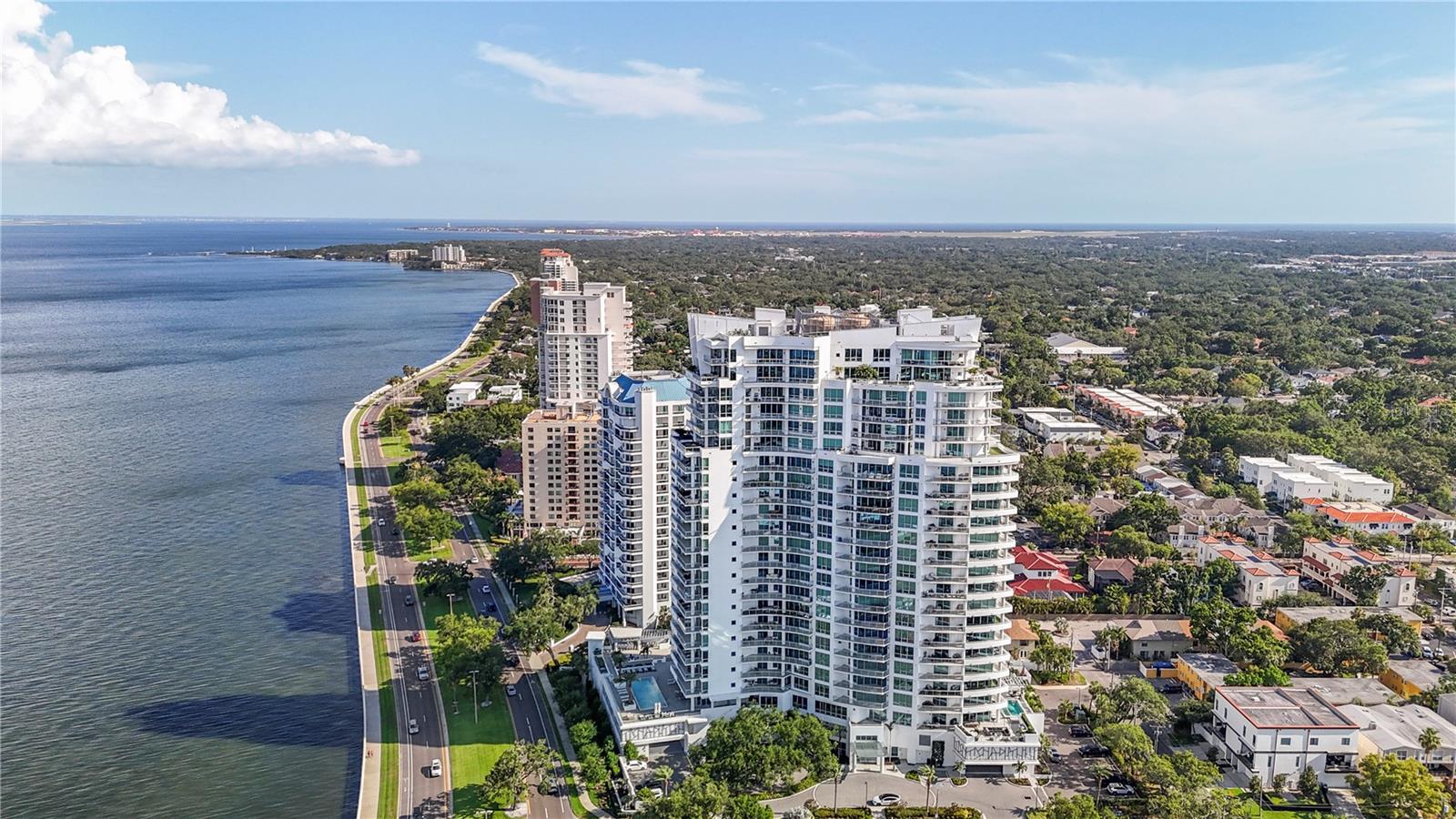 Image 94 of 99 For 3401 Bayshore Boulevard 2500