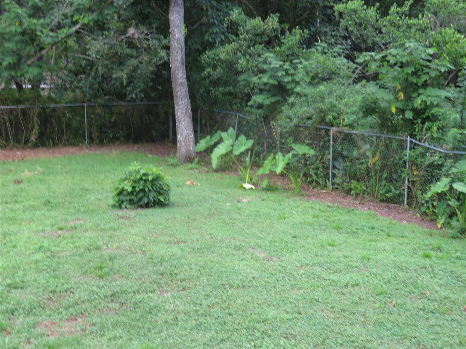 Listing photo id 20 for 13216 Curley Road