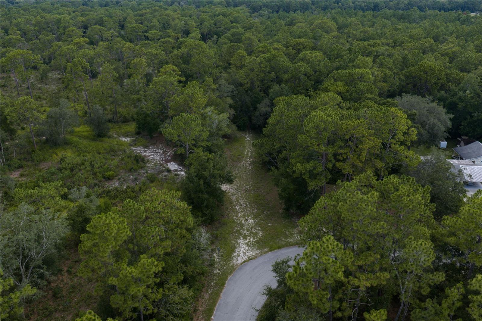 Image 2 of 10 For Jernigan Street