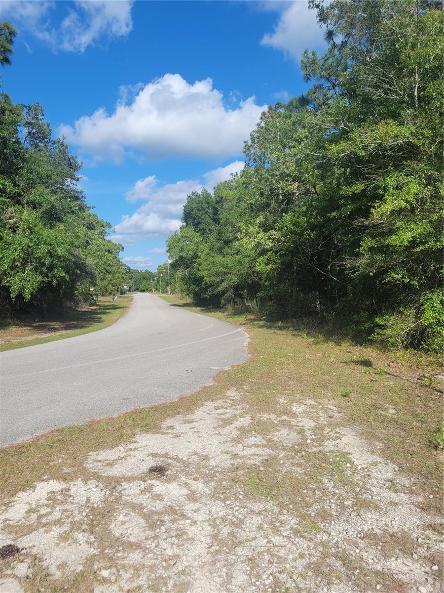 Image 8 of 10 For Jernigan Street