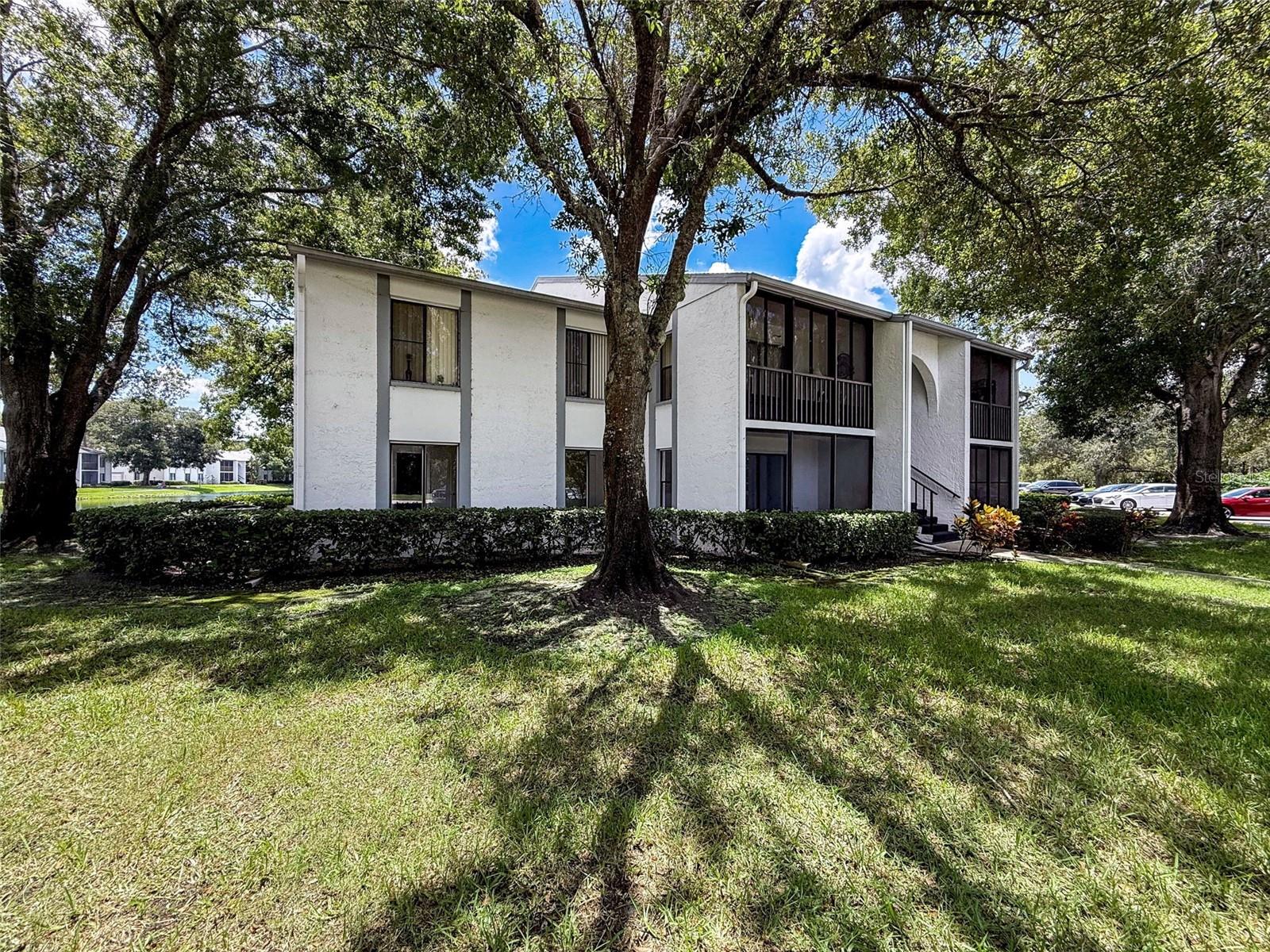 Details for 1135 Pine Ridge Circle W A1, TARPON SPRINGS, FL 34688