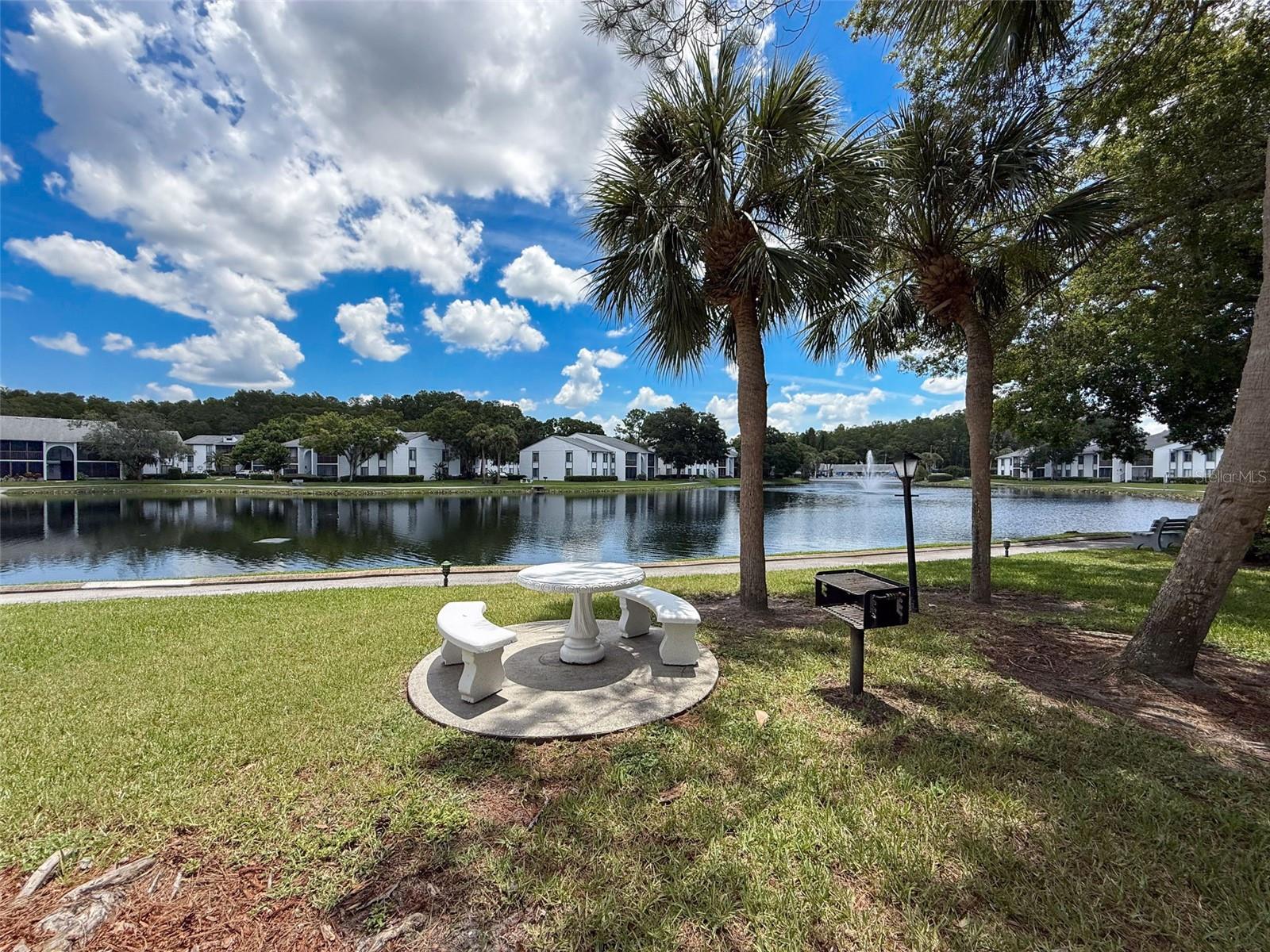 Image 17 of 27 For 1135 Pine Ridge Circle W A1