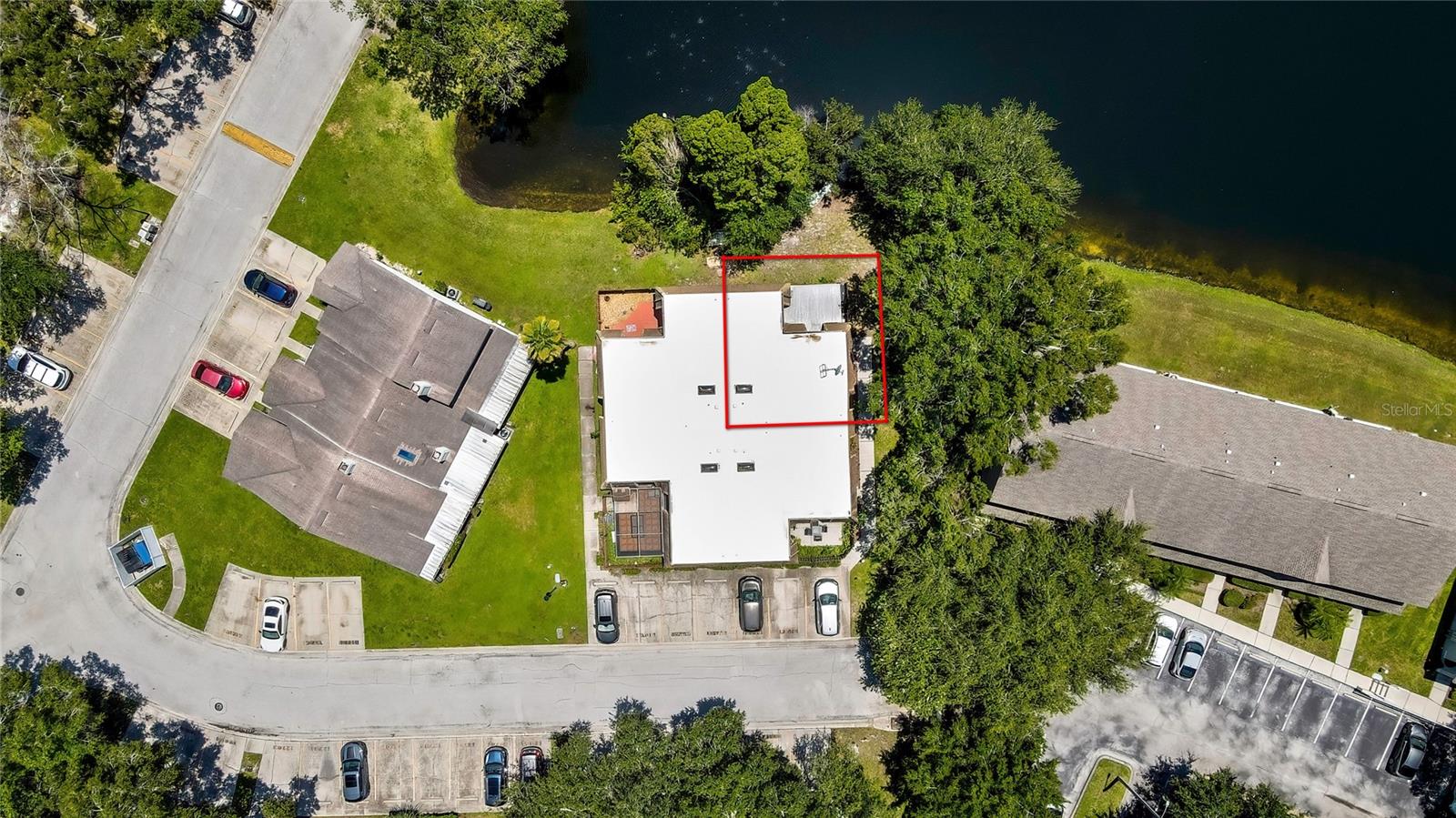 Details for 12714 Tall Pine Drive, TAMPA, FL 33625