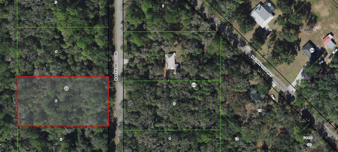Listing Details for 7696 Bitterroot, CRYSTAL RIVER, FL 34428