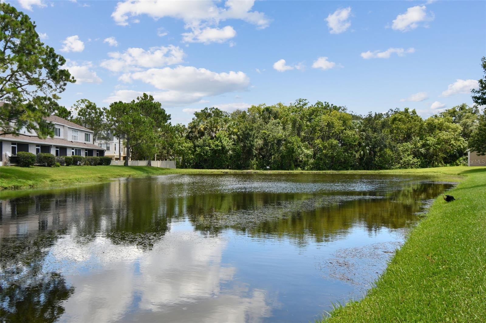 Image 44 of 99 For 6029 Bayside Key Drive