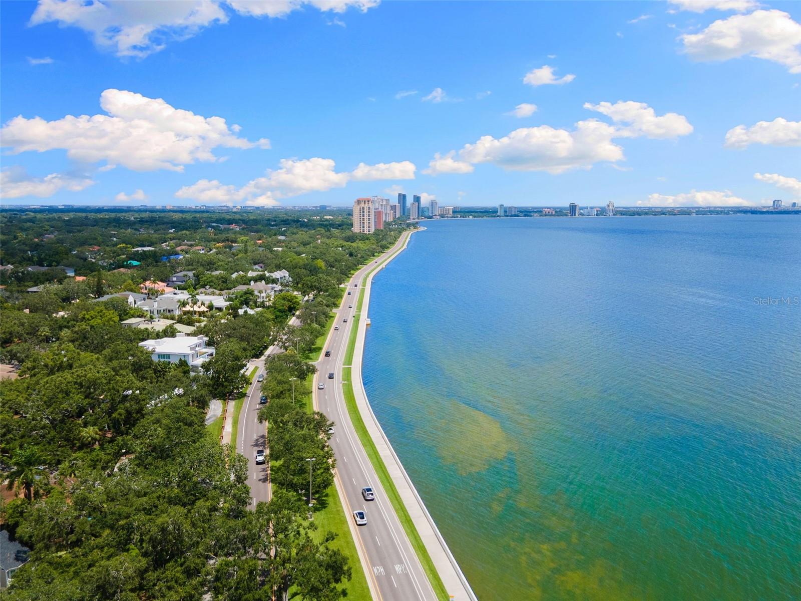 Listing photo id 45 for 4949 Bayshore Boulevard 4949a
