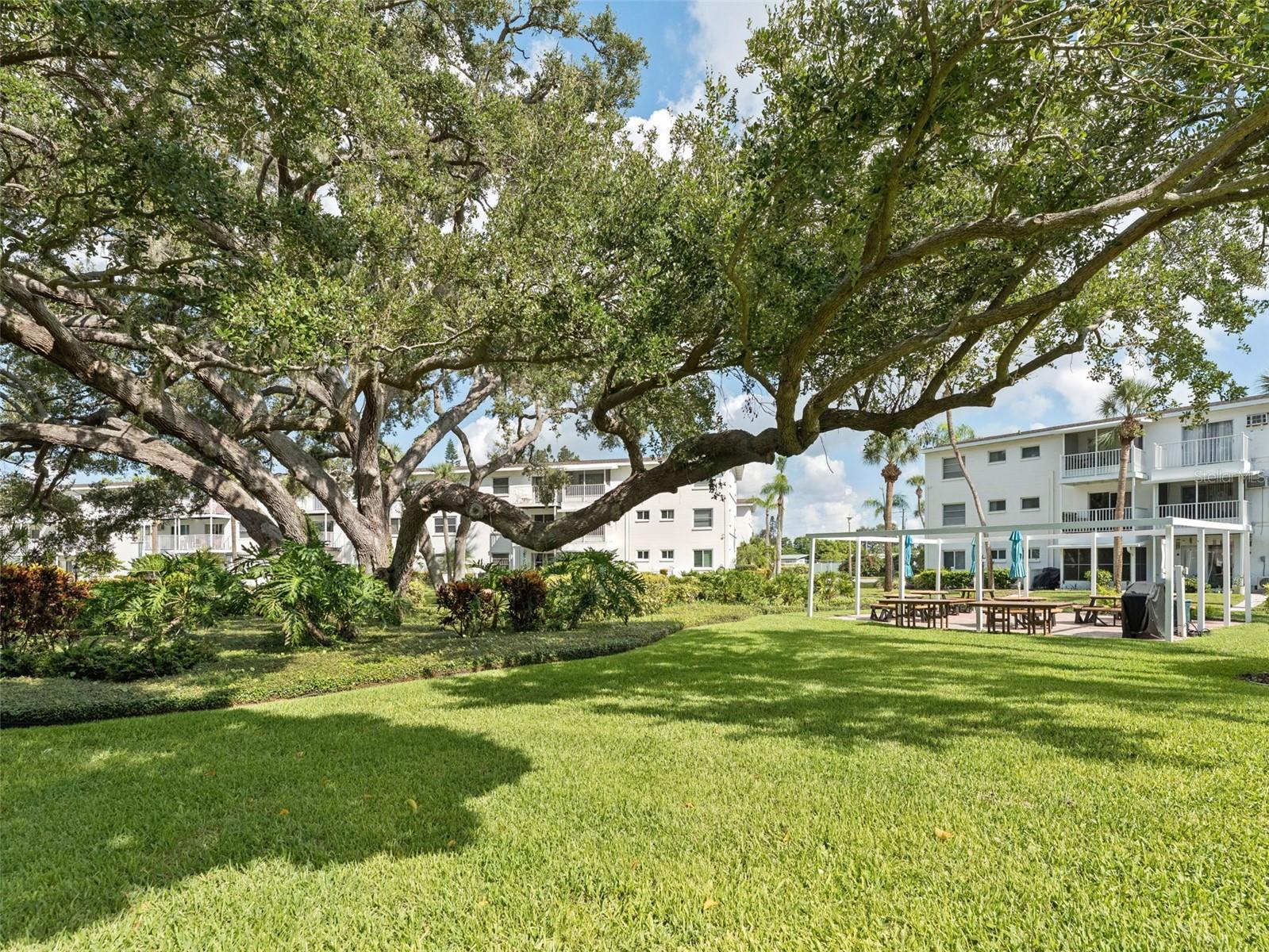 Image 16 of 18 For 2427 Flamingo Boulevard K27