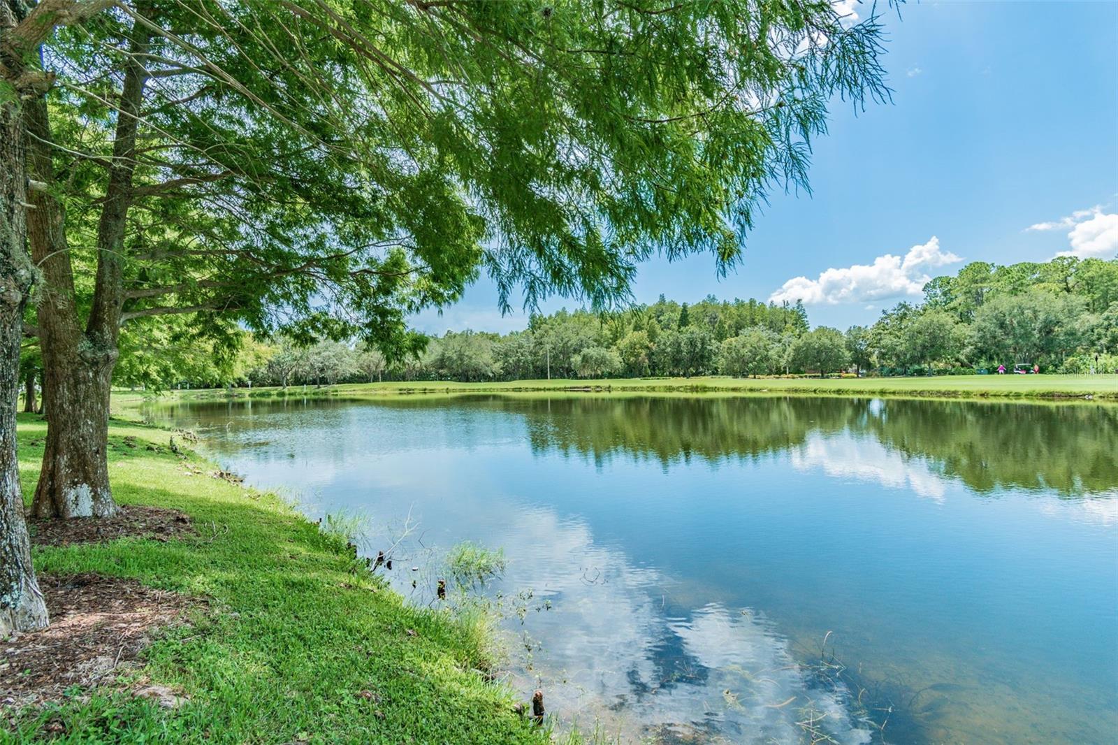 Image 42 of 54 For 10526 Greencrest Drive