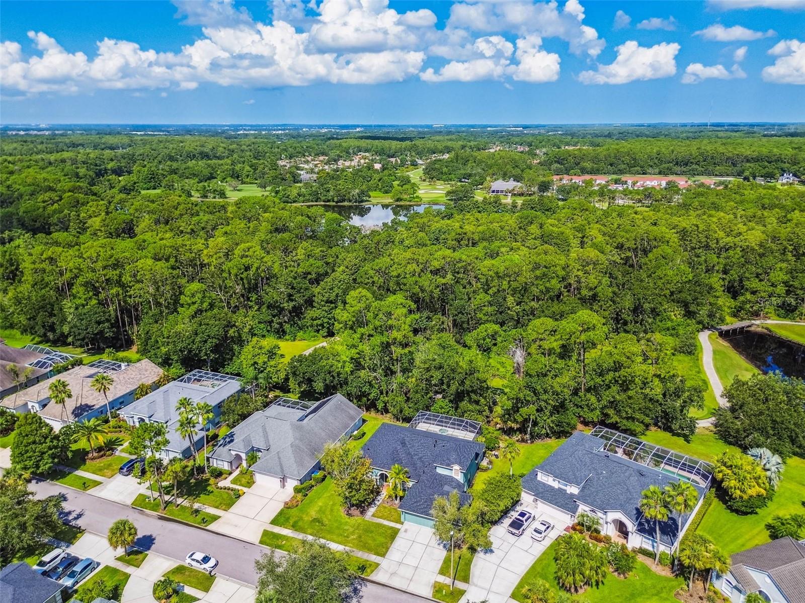 Image 48 of 54 For 10526 Greencrest Drive