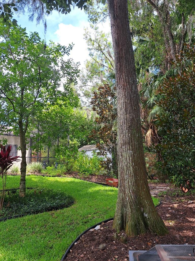 Image 36 of 37 For 1012 Kingsborough Gardens Court