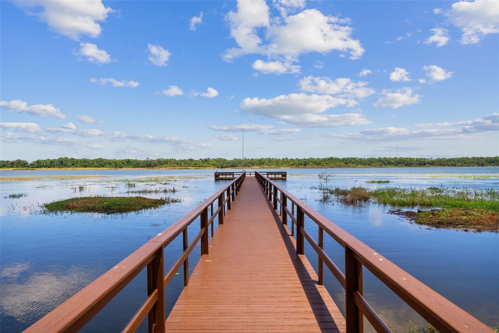 Image 4 of 80 For 9209 Seminole Boulevard 27