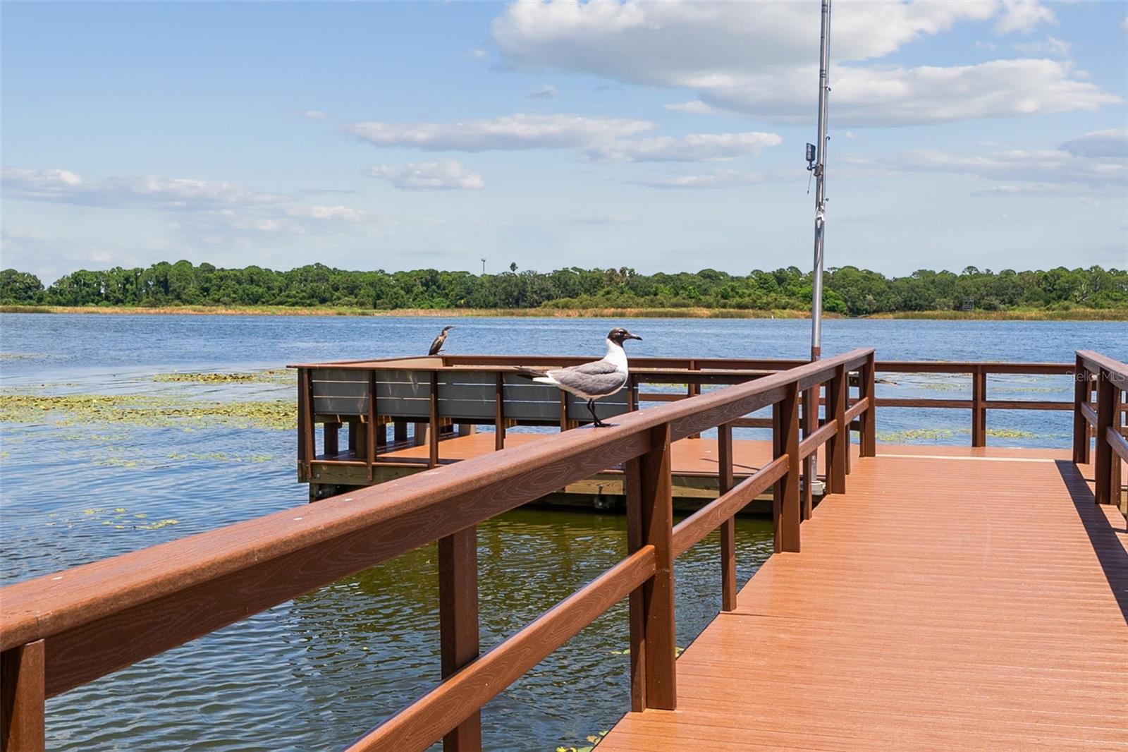 Image 54 of 80 For 9209 Seminole Boulevard 27