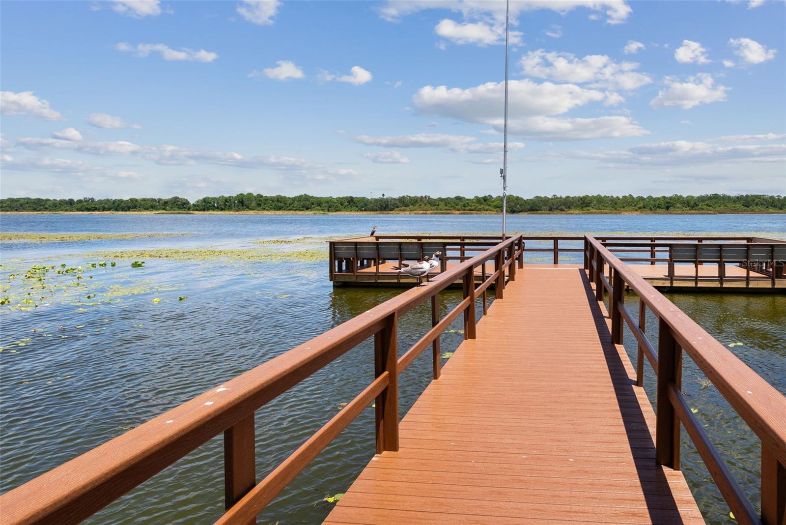 Image 55 of 80 For 9209 Seminole Boulevard 27