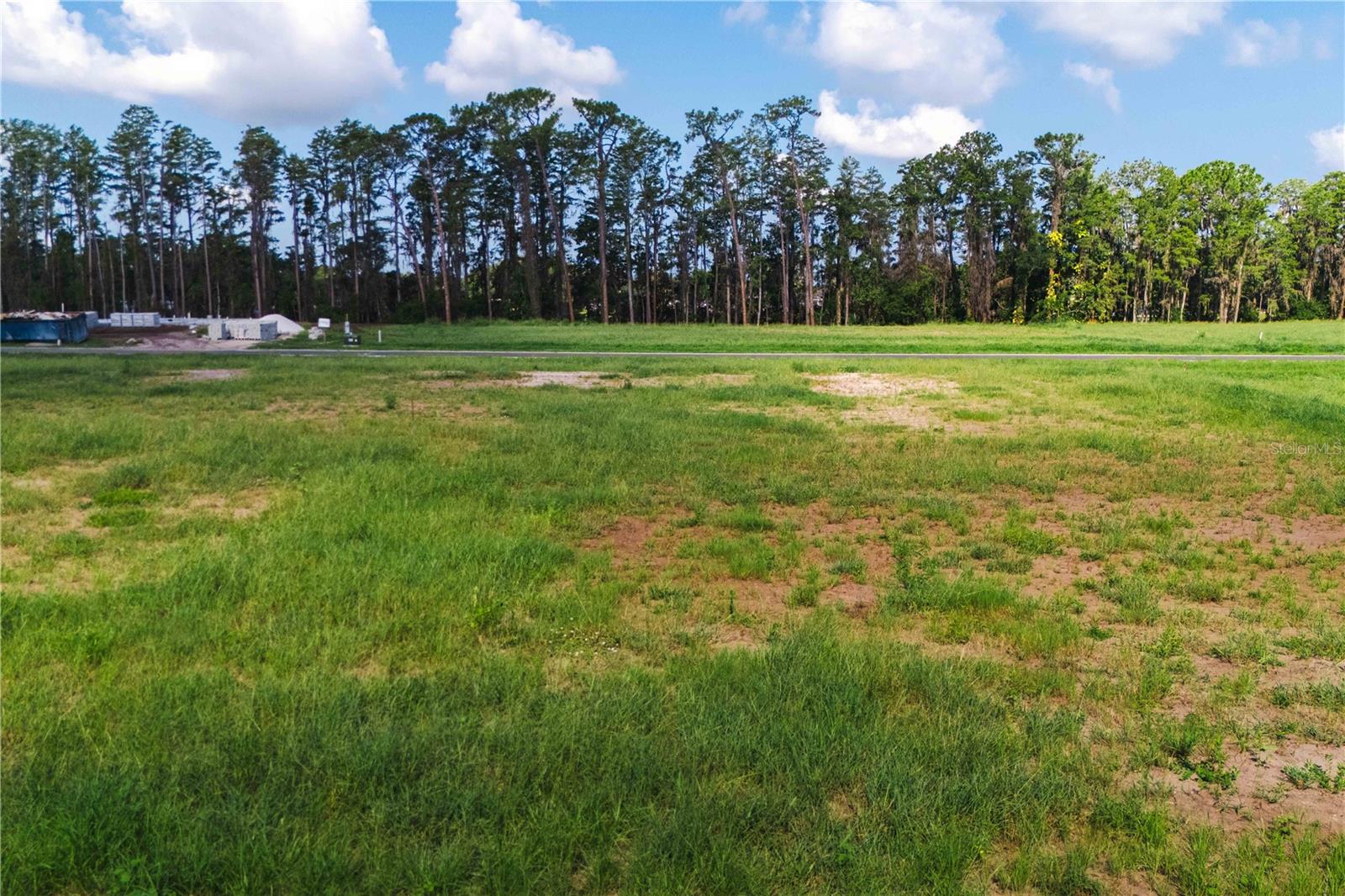 Details for 19319 Dimple Drive, ODESSA, FL 33556