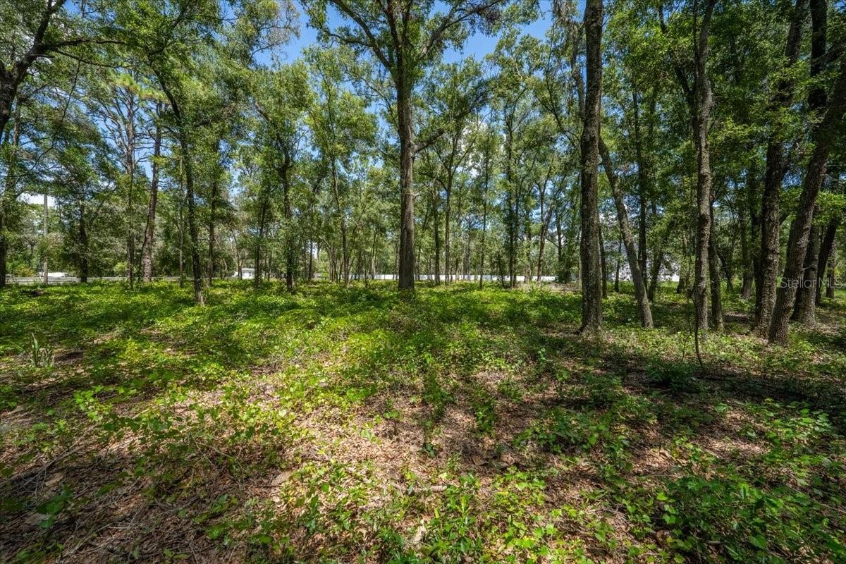 Image 2 of 34 For 15540 Lenway Road