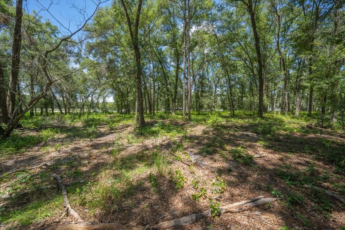 Image 4 of 34 For 15540 Lenway Road