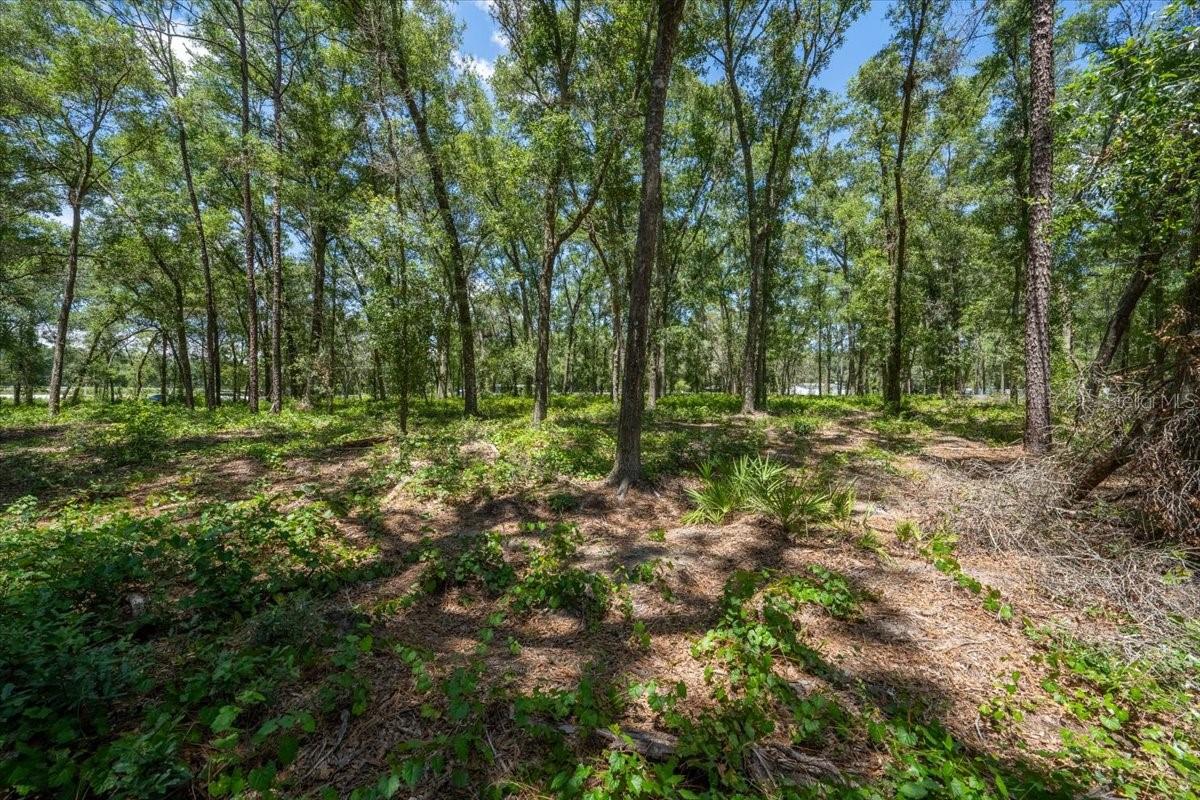 Image 6 of 34 For 15540 Lenway Road