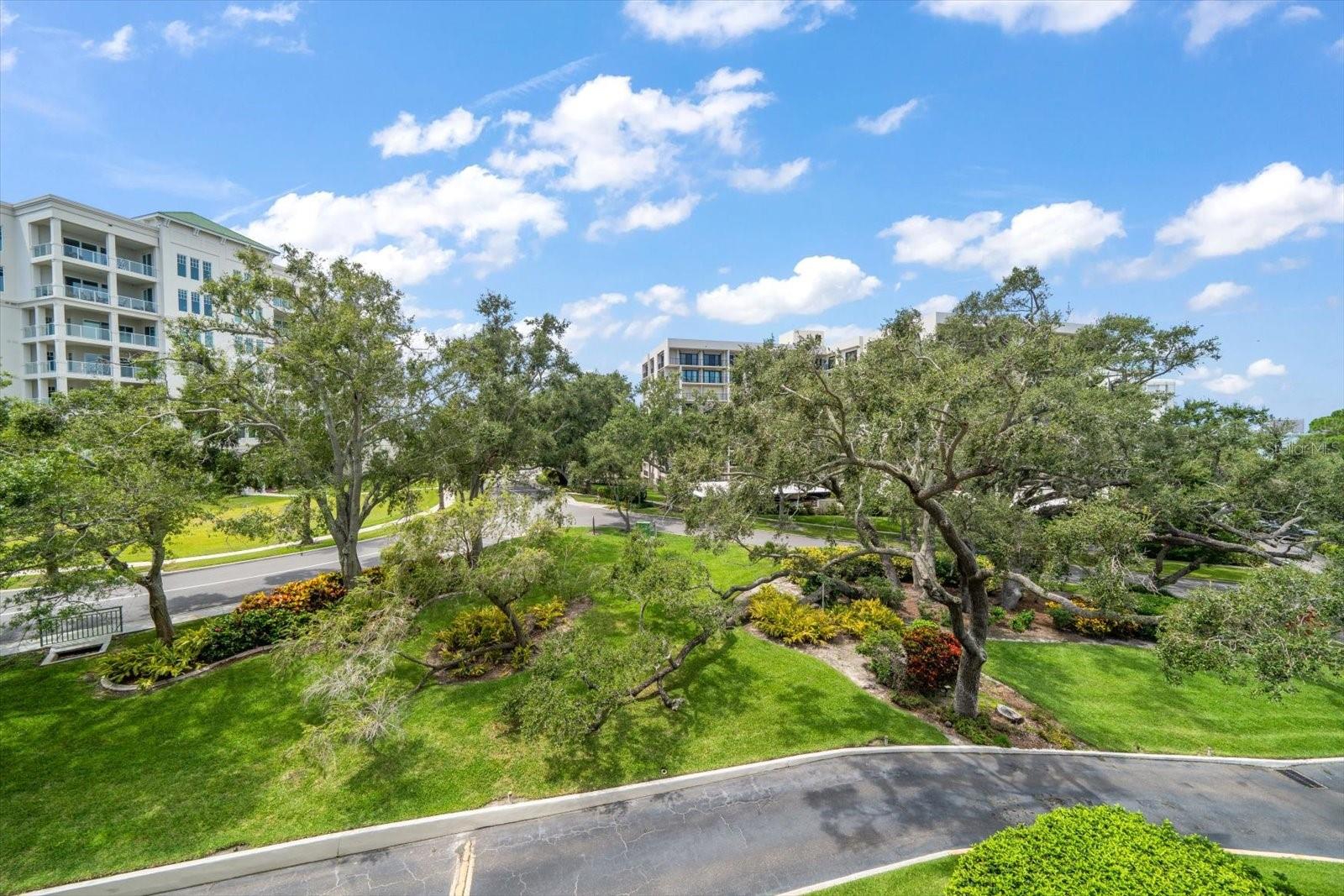 Image 36 of 56 For 220 Belleview Boulevard 410