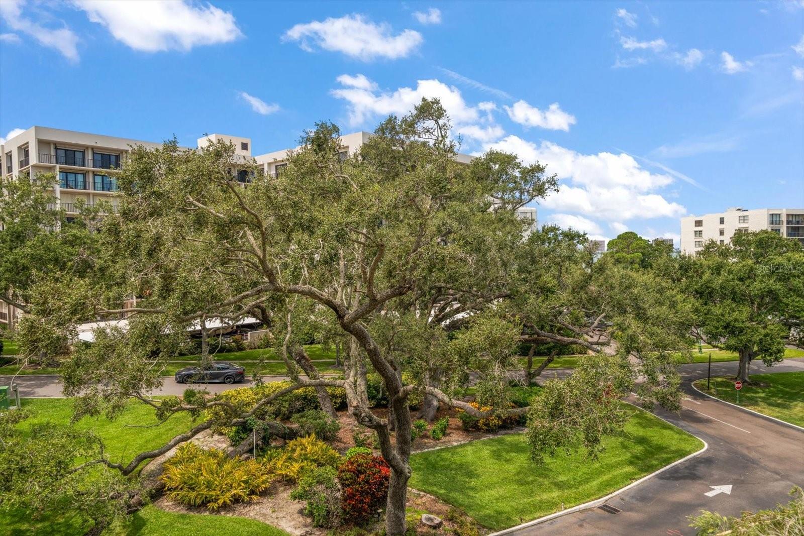 Image 38 of 56 For 220 Belleview Boulevard 410