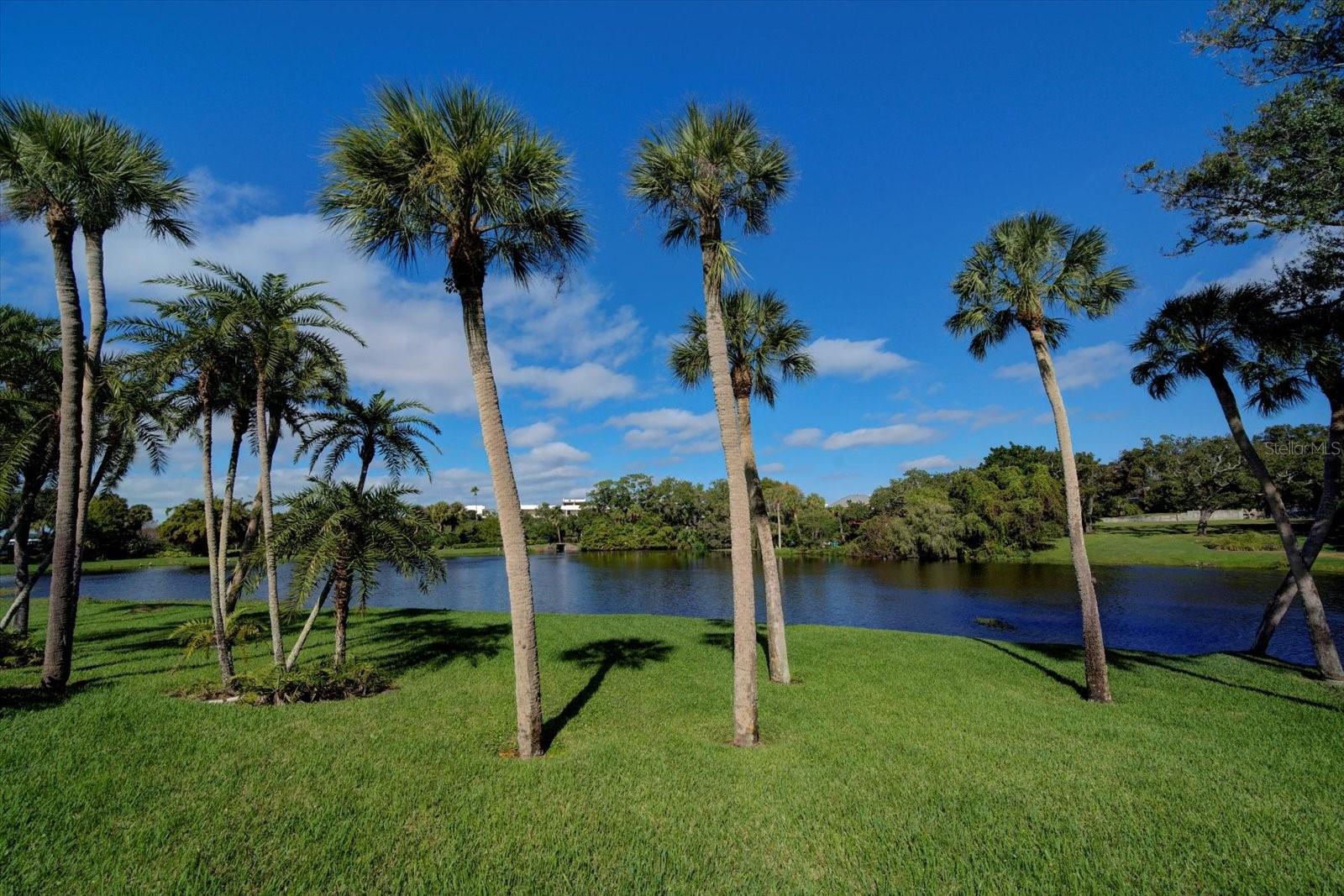 Image 51 of 56 For 220 Belleview Boulevard 410