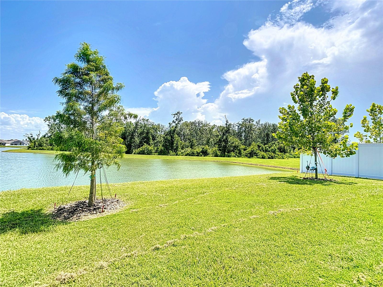 Image 39 of 42 For 35606 Bellington Boulevard