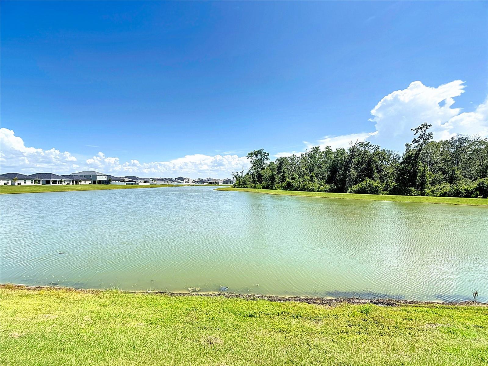 Image 9 of 42 For 35606 Bellington Boulevard