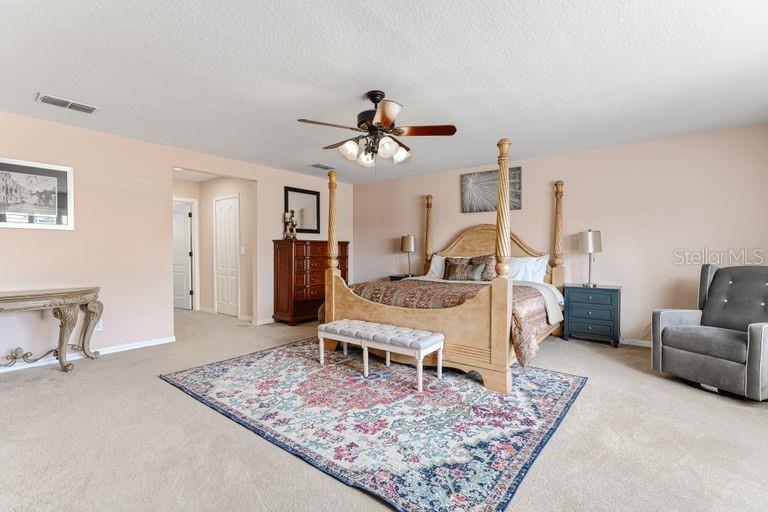Image 14 of 24 For 33524 Terragona Drive