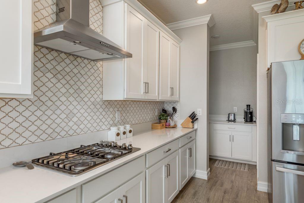 Image 19 of 73 For 8256 Capstone Ranch Drive