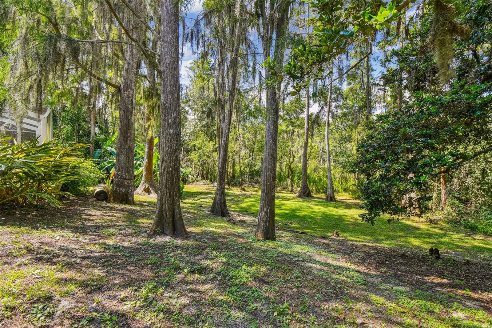 Image 58 of 78 For 16806 Rolling Rock Drive