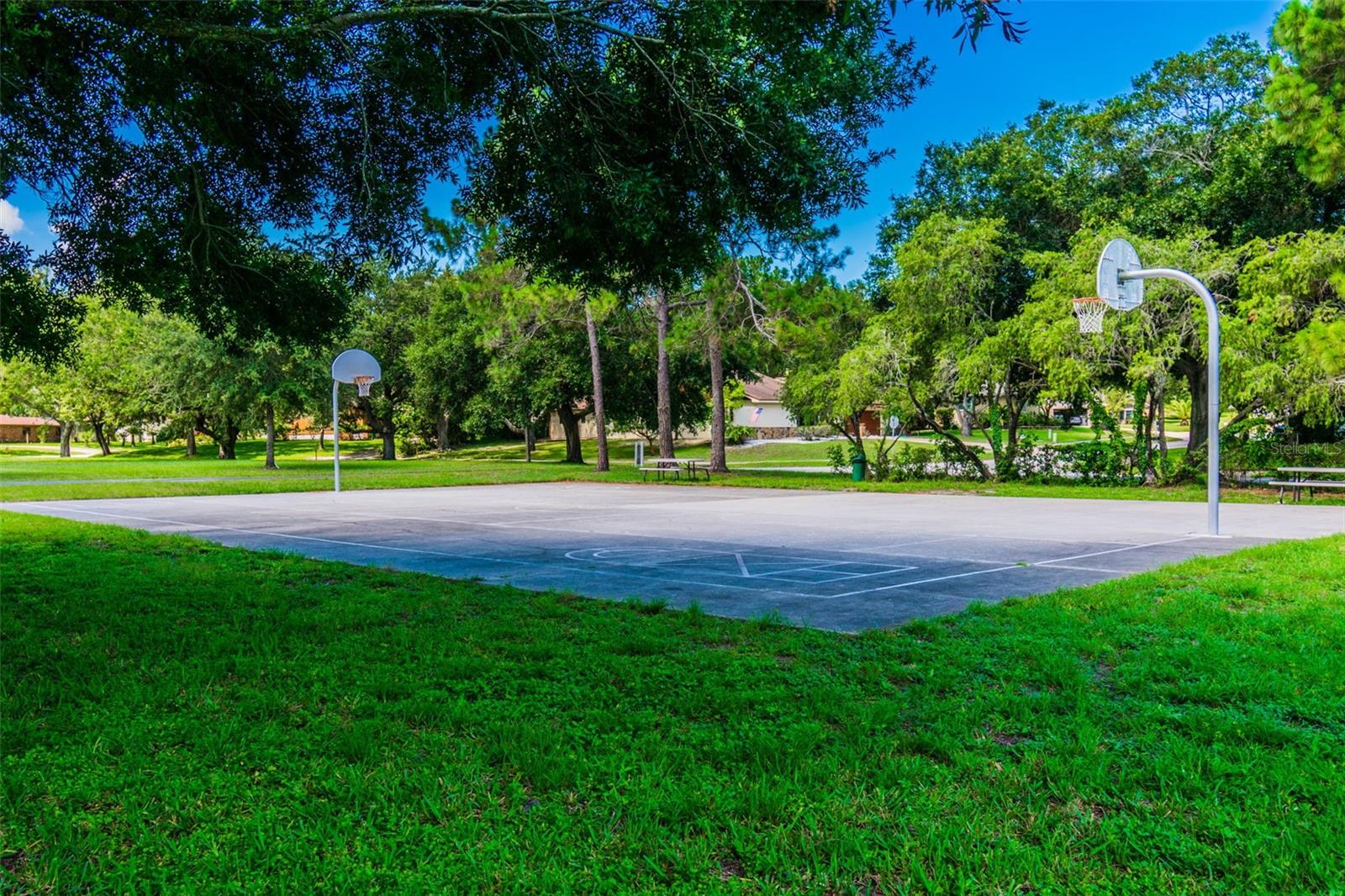 Image 79 of 83 For 822 Village Way