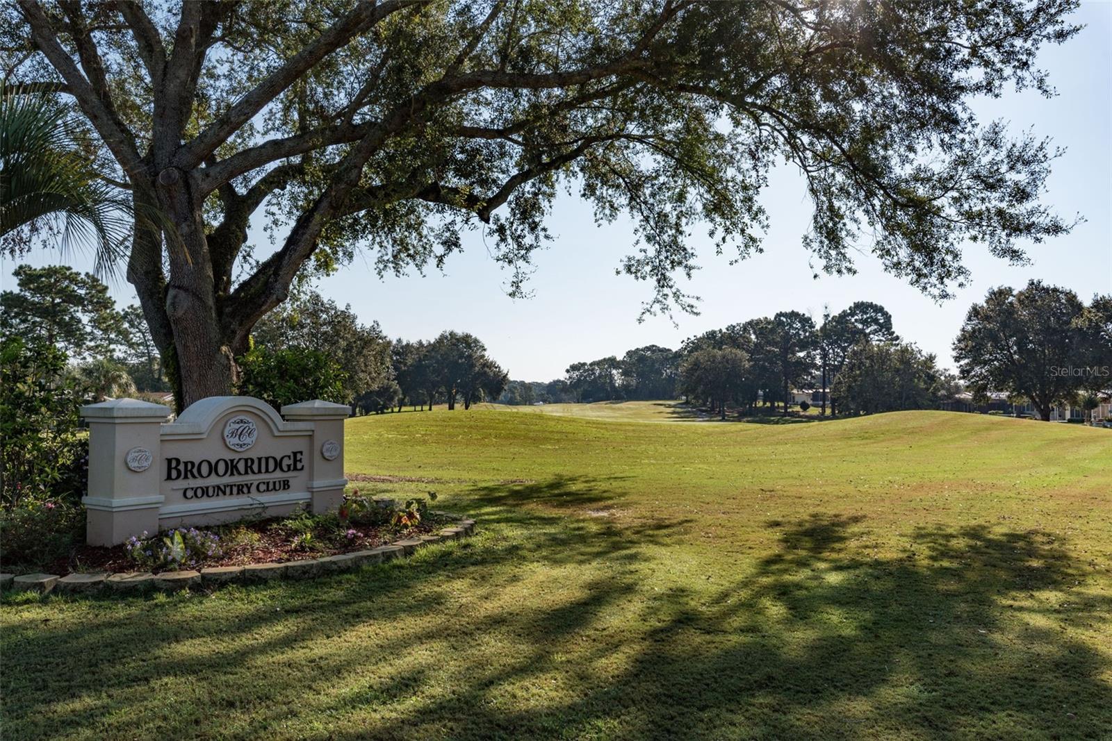 Listing photo id 43 for 15342 Brookridge Boulevard