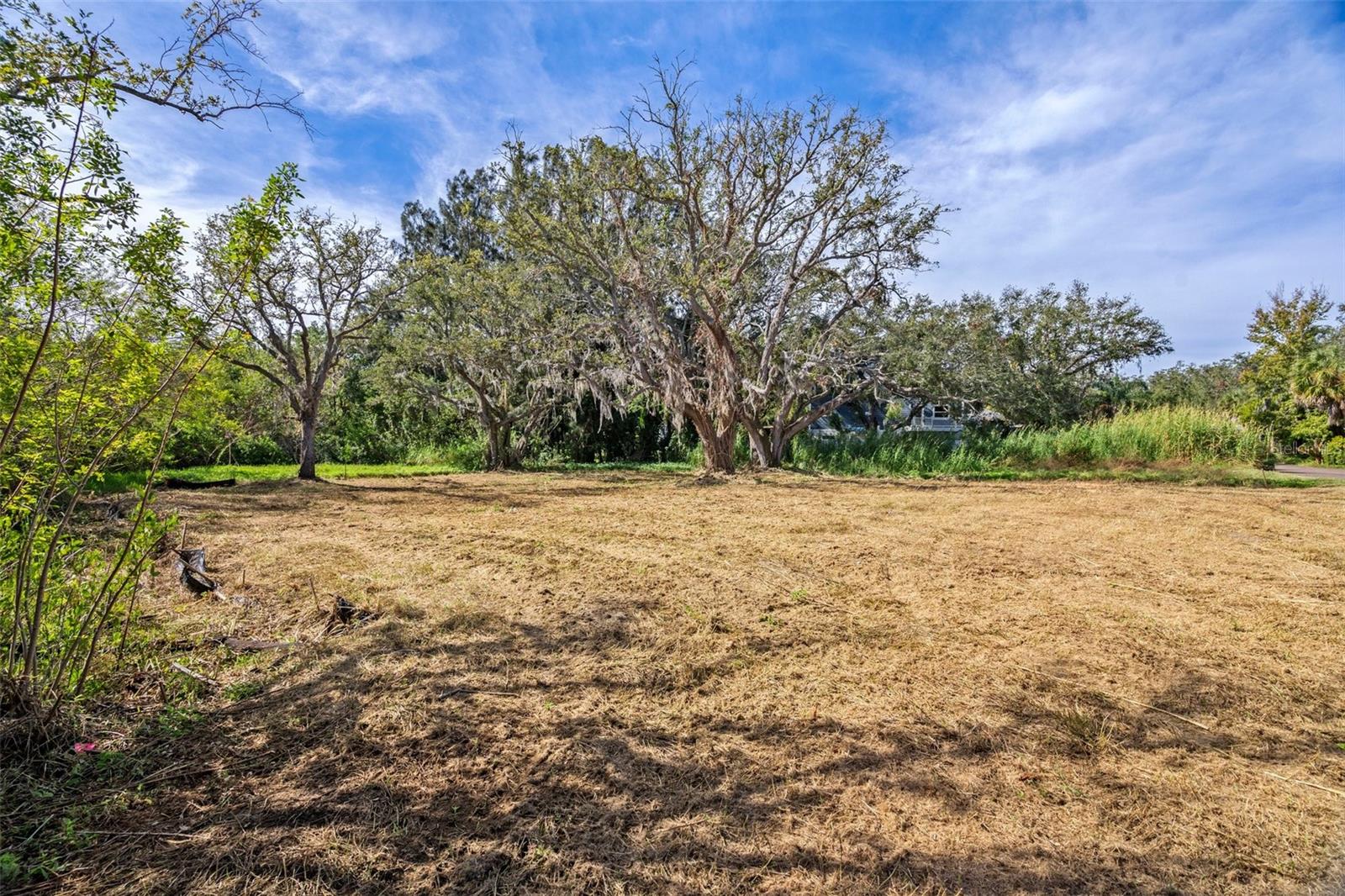 Image 4 of 14 For Irwin Street E