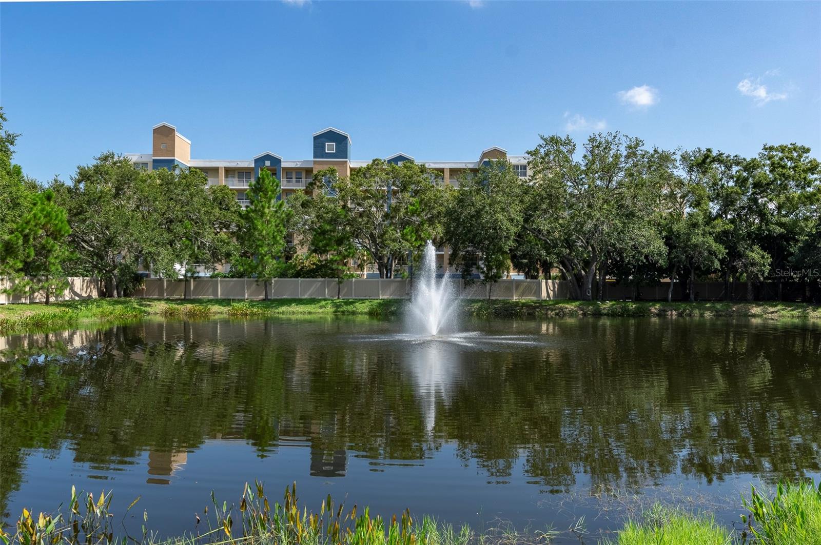 Image 33 of 34 For 1050 Starkey Road 208