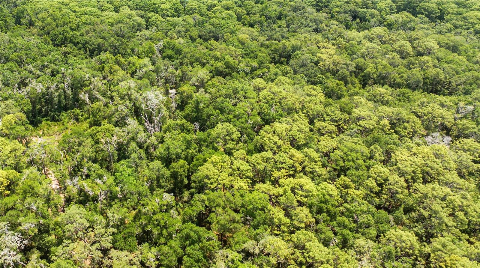 Listing Details for 00 134th Court, WEIRSDALE, FL 32195