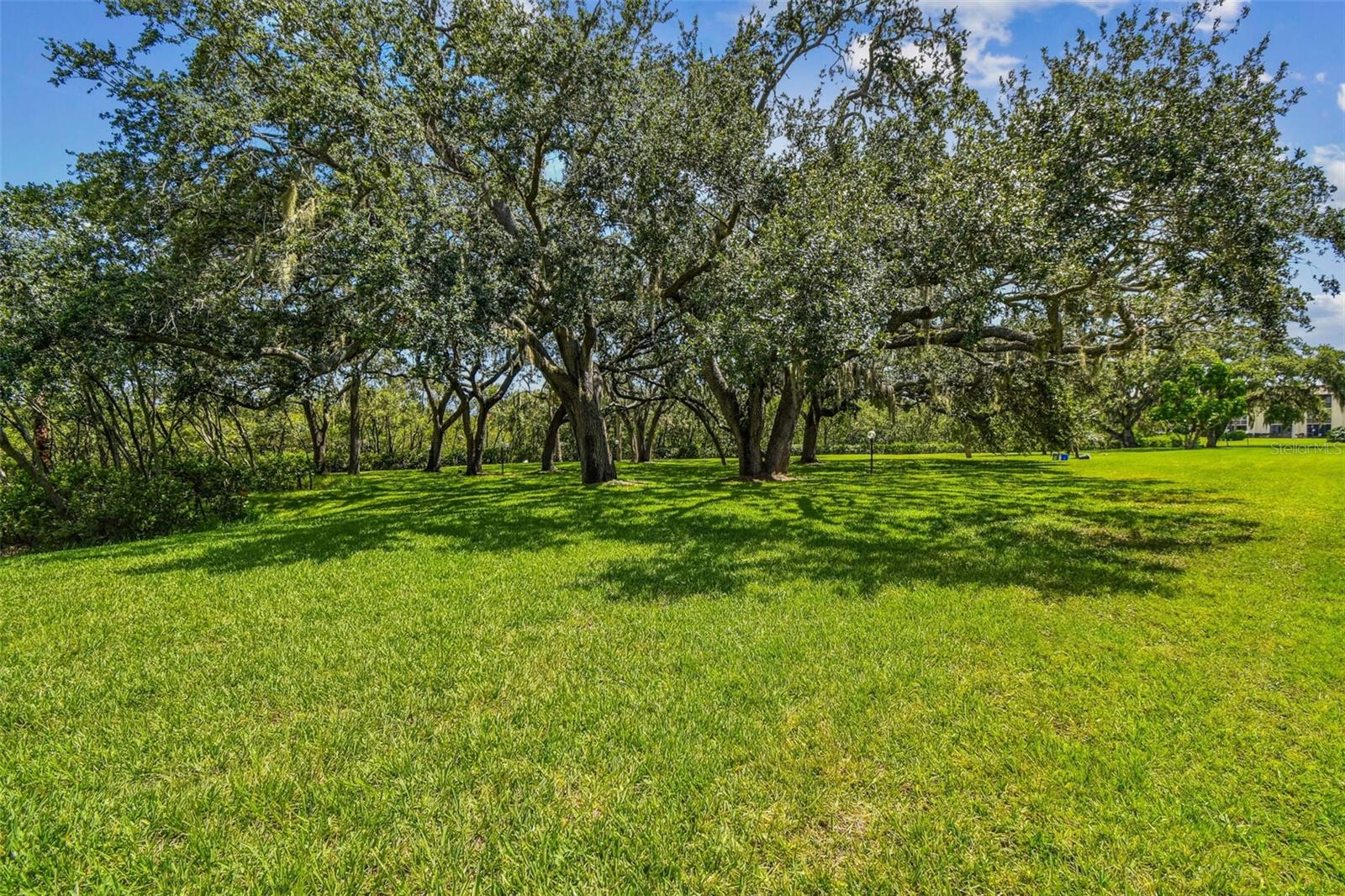 Image 29 of 67 For 4829 Onyx Lane 101