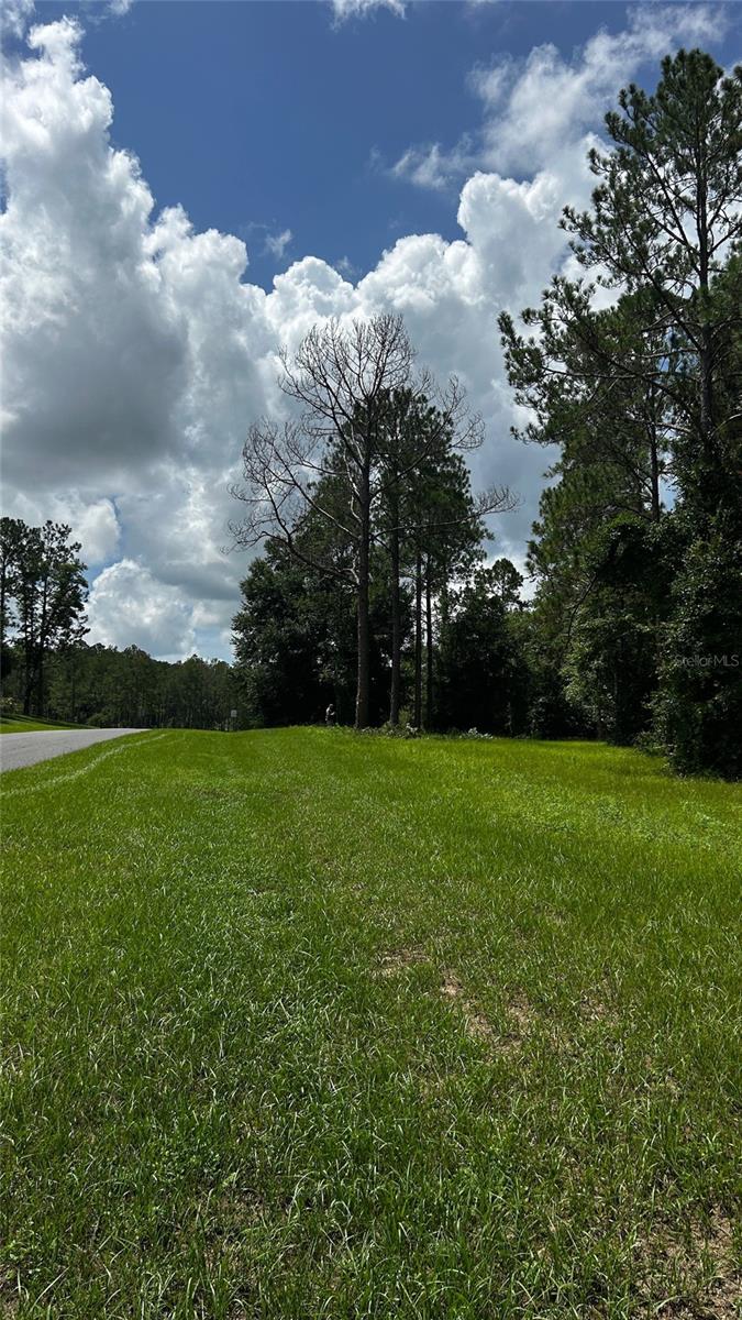 Details for 35001 Pinegate Trail, EUSTIS, FL 32736